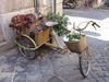 DSC02560.jpg